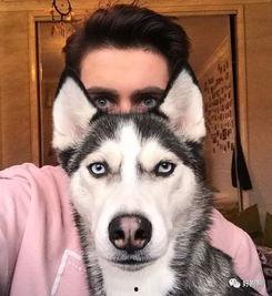 二哈吃瓜娱乐圈百度云