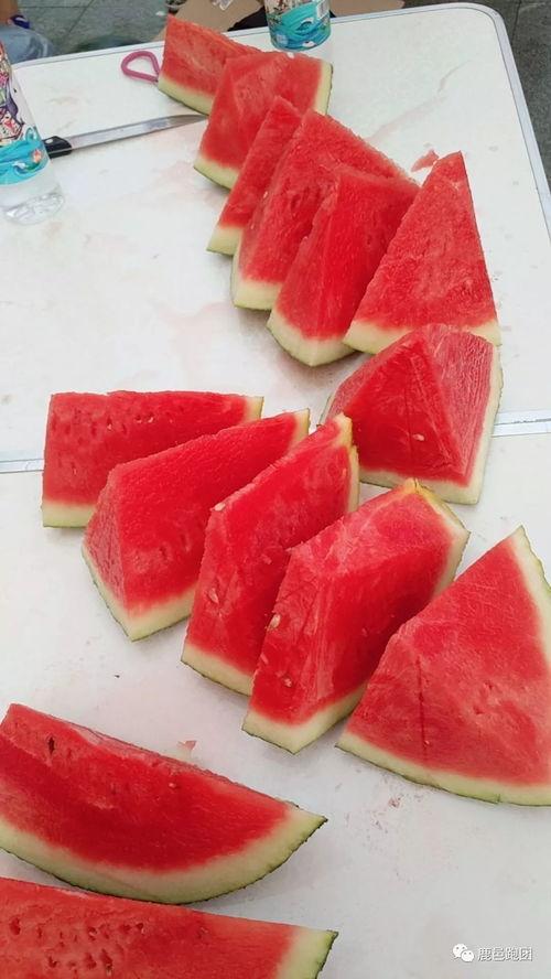 免费吃瓜每日大赛是真的吗,真相还是噱头？