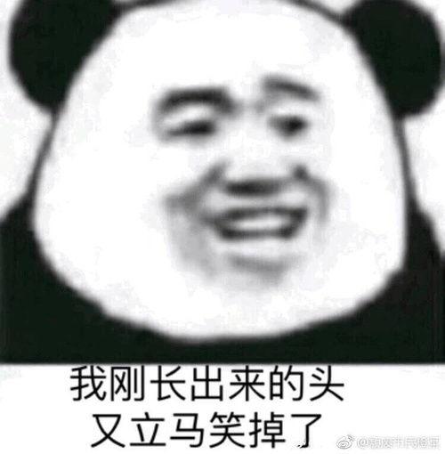 微信吃瓜表情是什么意思怎么回复,趣味互动背后的含义及回复技巧