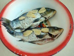 娱乐吃瓜鱼,揭秘娱乐圈那些不为人知的幕后故事